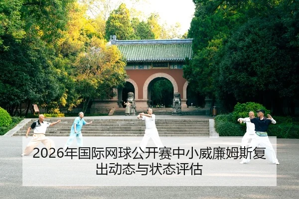 nian-guo-ji-wang-qiu-gong-kai-sai-zhong-xiao-wei-lian-mu-si-fu-chu-dong-tai-yu-zhuang-tai-ping-gu-2-312.jpg