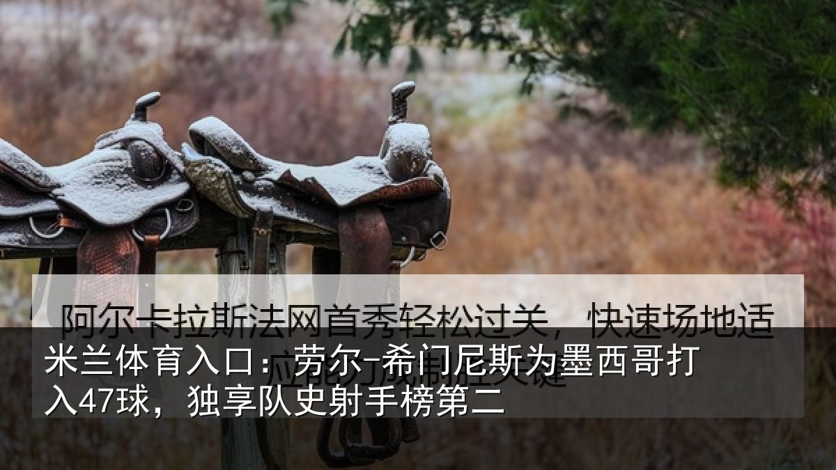 米兰体育入口：劳尔-希门相关情况47球独相关情况