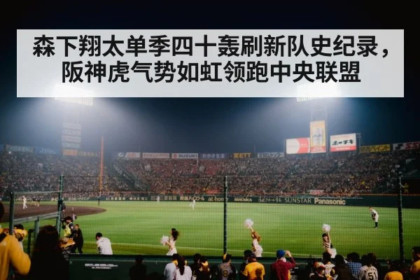 japanese baseball stadium crowd